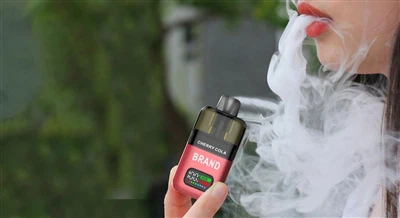 Cas réussis: témoin de notre expertise et de notre force